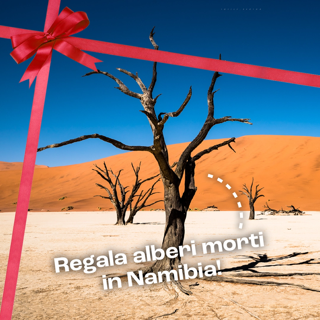 02_Deadvlei.webp